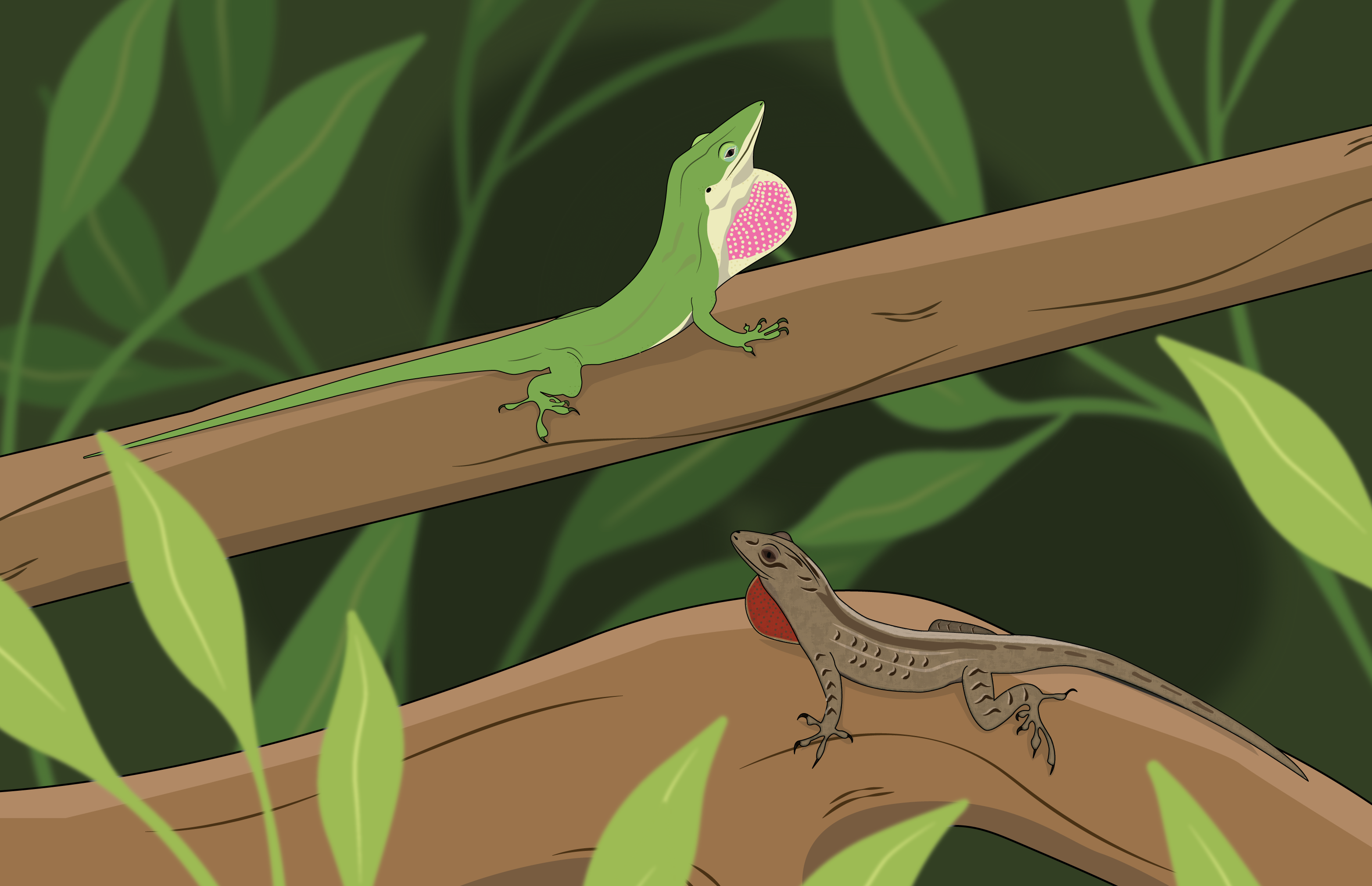 Digital illustration of lizzards. 
